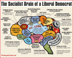 Brain_Socialist_550